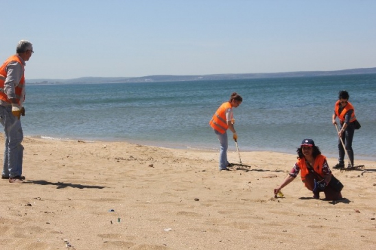 Sinop'ta Sahil Temizliği Etkinliği Düzenlendi