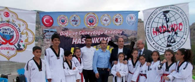 Hasankeyf'te Hapkido Şampiyonası, 105 Sporcu ile Gerçekleşti
