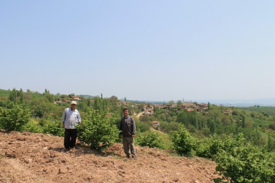 Bursa Yenişehir Yıldırım Köyü'nde Fındık İhracı Hızla Artıyor