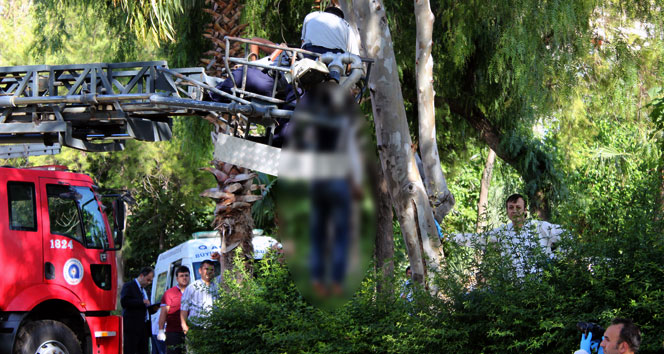 Antalya Muratpaşa'da Ağaçta Asılı Ceset İtfaiye Tarafından İndirilirken Düştü
