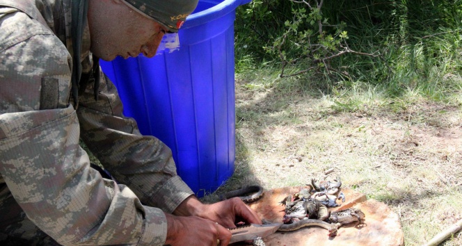 Kayseri'de Komando Tugayı'nın Tatbikatında Komandoların Yiyecekleri Sergilendi