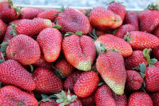 Sason Yeniköy'de Organik Çilekler Tüketicilerle Buluşmaya Başladı