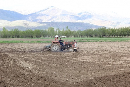 Erzincan Karatuş Köyü'nde Çiftçilerin Su Sorunu 300 Dönüm Araziyi Etkiledi