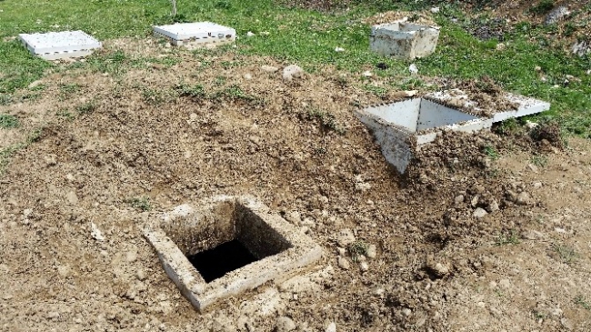 Bolu Ericek Köyü'nde Foseptik Çukuruna Düşen Boz Ayı Kurtarıldı