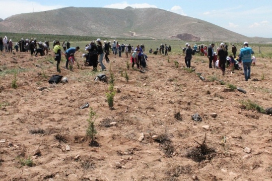 Niğde’de Şehit Savcı Selim Kiraz Anısına Hatıra Ormanı Oluşturuldu