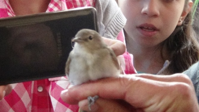 Iğdır Merkez'de Öğrencilere Kuş Halkalama Eğitimi Verildi