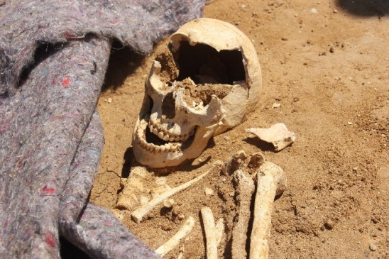 Sinop Merkez'de Yükselen Kültür Merkezi İnşaatında Tarihi Eserler Bulundu