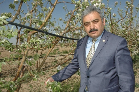 Karaman Merkez'de Don Olayı Sonucu Meyve Zararının Maliyeti 336 Milyon Lira