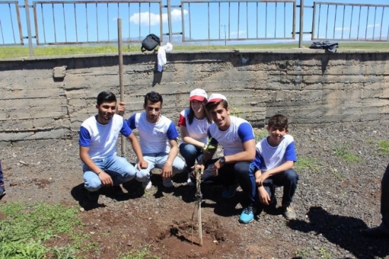Cizre'de 19 Mayıs İçin Ağaç Dikme Etkinliği Düzenlendi