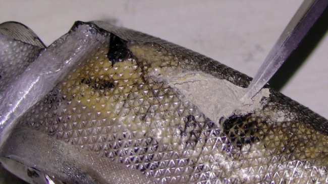 Edirne Hamzabeyli Sınır Kapısı'nda Uyuşturucu Madde Ele Geçirildi