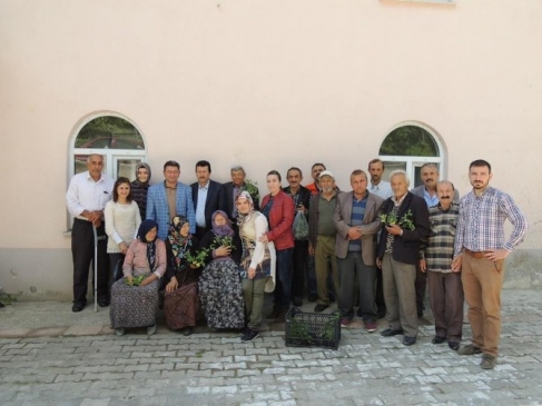 Ordu Fatsa'da Fındık Üreticileri İçin Ziraat Mühendisleri Tarafından Bilgilendirme Toplantıları Düzenleniyor