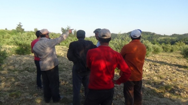 Hatay Yayladağı'nda Suriye'ye Ait Hava Aracı Türk Uçakları Tarafından Düşürüldü