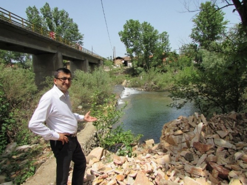 Çanakkale'de Kocabaş Çayı'nda Yaşanan Çevre Felaketi, Balık Ölümlerine Neden Oldu