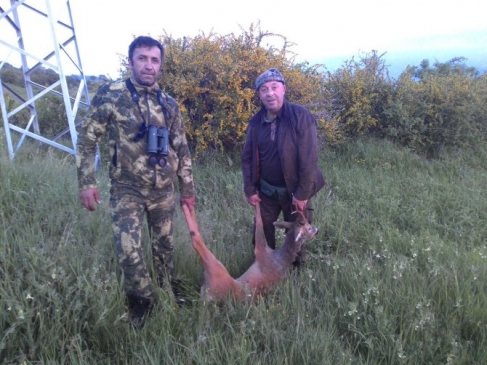 Çorum'da Av Turizmi Kapsamında İlk Karaca Vuruldu