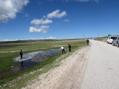 Tuşba Belediyesi, Haşere Kontrol Çalışmalarına Aralıksız Devam Ediyor