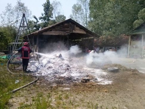 Sakarya Akyazı'da Çıkan Yangın İtfaiye Ekiplerince Söndürüldü