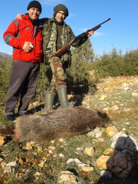 Karaman Merkez'de Yaban Domuzlarına Yönelik Sürek Avı Uygulamaları Sürüyor