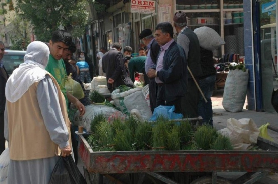Siirt Pervari'de Doğal Peynir Otu 'Sirik' 10 Liradan Satılmakta