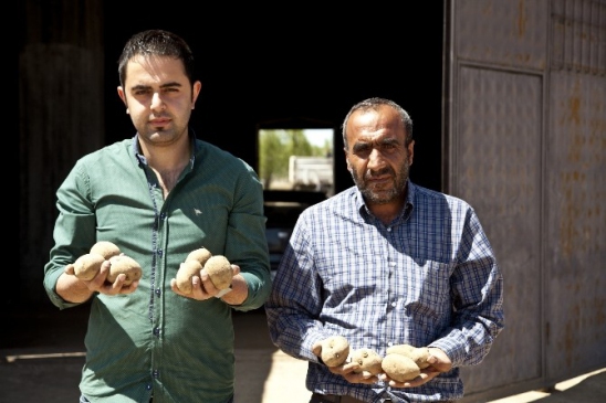 Bitlis Ahlat'da Patates Fiyatlarındaki Artışın Nedeni Doğal Afetler