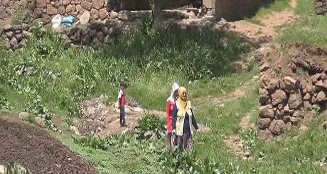 Muş'un Boğaziçi Mezrası Sakinleri, Yol Sorunu Nedeniyle Seçimlere Katılmayacak