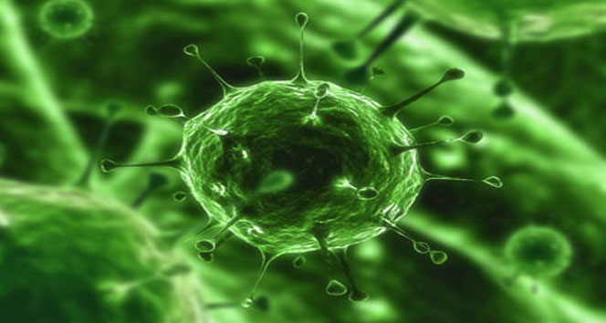 Kula'da Hayvanlardan Bulaşan Hastalıklar İçin Önemli Uyarılar Yapıldı