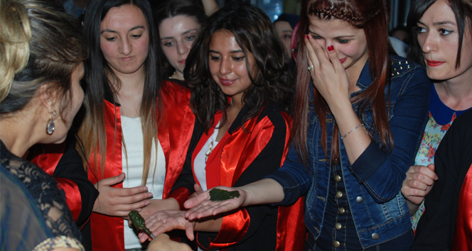 Tokat'ta Düzenlenen Mezuniyet Kına Gecesinde Öğrenciler Eğlendi