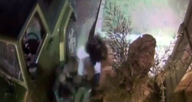 Los Angeles West Adams Bölgesi'nde Sokak Kedilerini Besleyen Kadına Saldıran İtfaiyeci Suçlu Bulundu