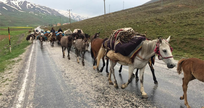 Batman'dan Başkale'ye Göç Eden Göçerlerin Yolculuğu Devam Ediyor