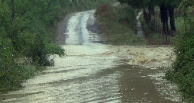 Mardin Merkez'de Bu Gece Kuvvetli Yağış Bekleniyor
