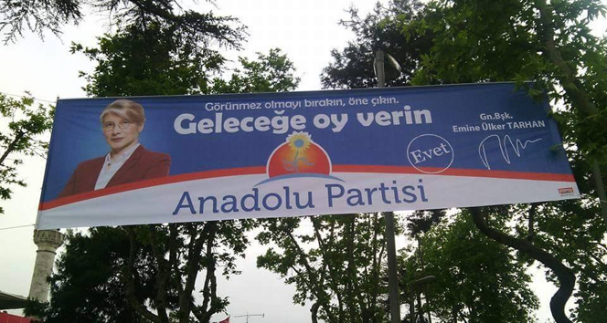 Muğla'da Anadolu Partisi, Seçim Afişlerinin Kaldırılmasına Tepki Gösterdi