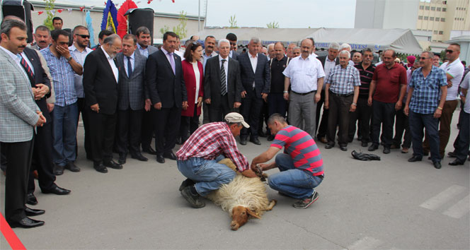 Çorum Merkez'de Yeni Kamyon Garajı ile Nakliyeciler Sitesi Hizmete Girdi