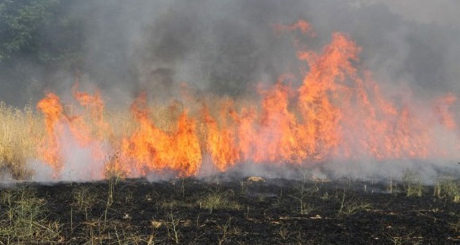 Manisa Kula'da Yangında 10 Dönüm Buğday Tarlası Yanarak Kül Oldu