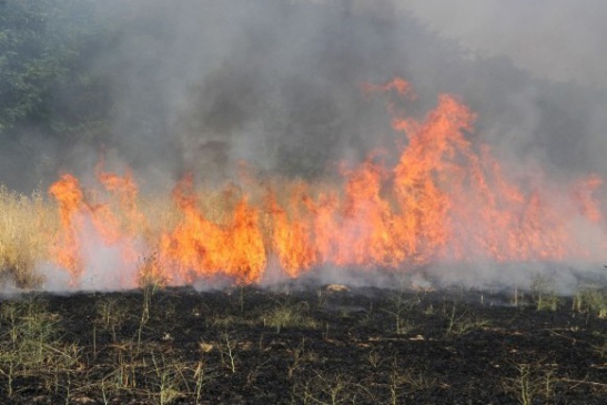 Manisa Kula'da Meydana Gelen Yangında 10 Dönüm Buğday Tarlası Yandı