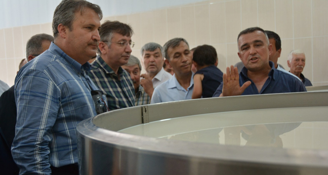 Yunusemre'de Süt Toplama Merkezi Açılışında Üreticiler Kazanç Sağlayacak