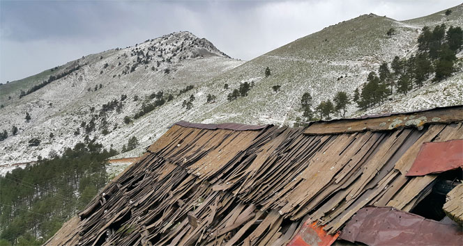 Gümüşhane Torul'da Yüksek Kesimlerde Yağışlar Beyaz Örtü Oluşturdu