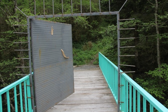 Rize Çamlıhemşin'de Şimşir Ormanını Koruma Amaçlı Yapılan Kapının Kilidi Kırıldı