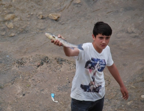 Tokat Merkez'de Behzat Deresi'nde Çok Sayıda Balık Telef Oldu