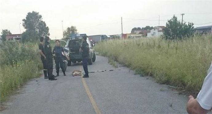 Selanik'te Pitbull Köpeği 9 Kişiyi Yaraladı, Polis Tarafından Vuruldu