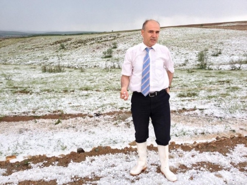 Kırıkkale Balışeyh'de Dolu Yağışı Sonrası Ekili Alanlarda Zarar Oluştu