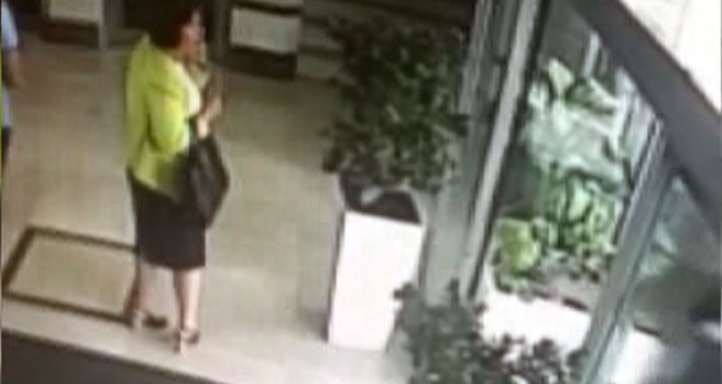 Adana'da CHP Milletvekili Adayı Elif Doğan Türkmen Silahlı Saldırıya Uğradı