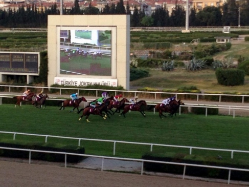 İzmir Şirinyer Hipodromu'nda Gözüyılmaz Adlı At Koşuyu Kazandı