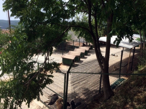 Muğla'daki Geçici Hayvan Bakımevi Yenileme Çalışmaları Tamamlandı