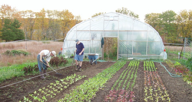 Ordu'da Organik Tarım Üreten Çiftçi Sayısı 5 Kat Arttı