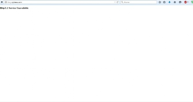 Türk Hackerlar, New York Times'ın Web Sitelerine Erişimi Engelledi