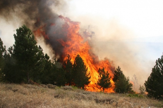 Bartın Merkez'de Orman Yangınlarına Karşı Bilgilendirme Çalışmaları Yapılmakta