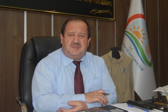 Samsun'da Kuş Gribi Vakası Bulunmuyor, Gıda Müdürü Açıkladı