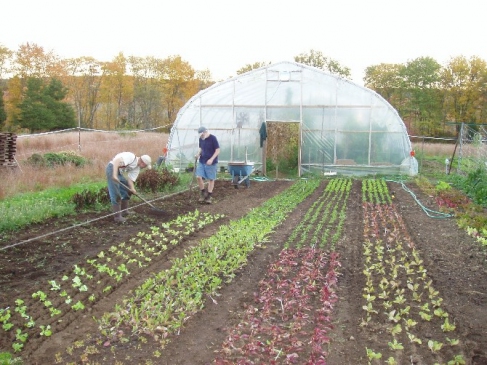 Ordu'da Organik Tarım Yapan Çiftçi Sayısı 5 Kat Arttı