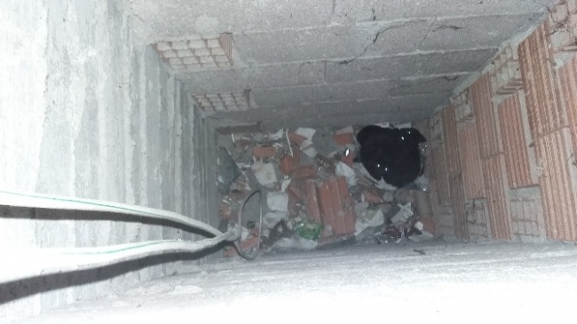 Karaman Merkez'de İki Yavru Kedi İçin İtfaiye Seferber Oldu