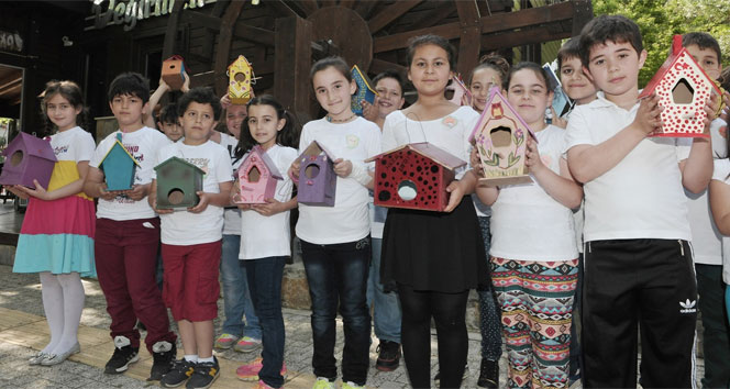 Beykoz Göksu'da Öğrenciler Kuşlar İçin 40 Yuva Yerleştirdi