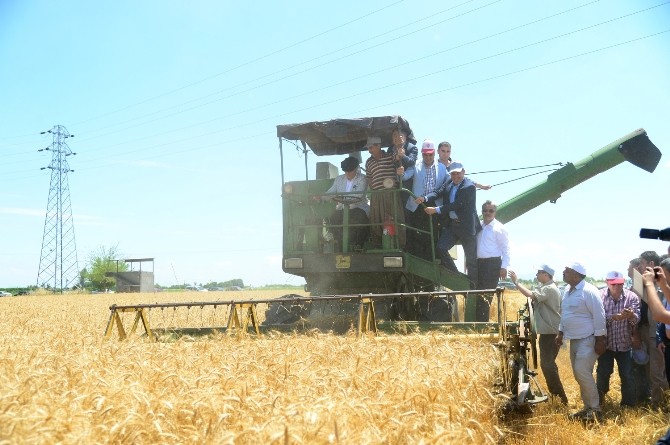 Adana İmamoğlu'nda Tarım ve Altyapı İle İlgili Hizmet Müjdesi Verildi